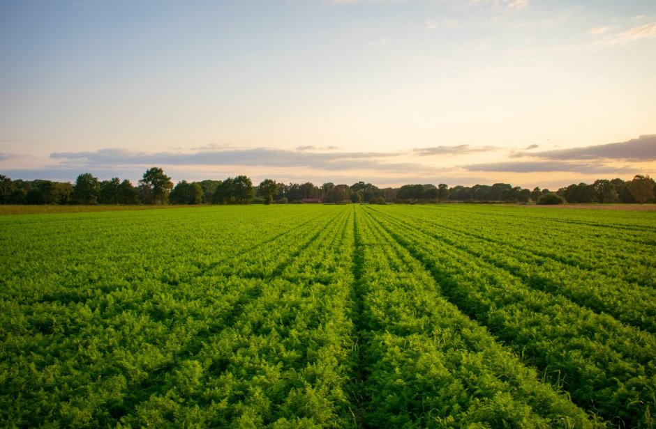 Lees hier de nieuwsbrief van februari! 